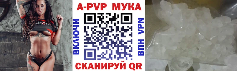 Alfa_PVP СК КРИС  OMG сайт  Бородино 
