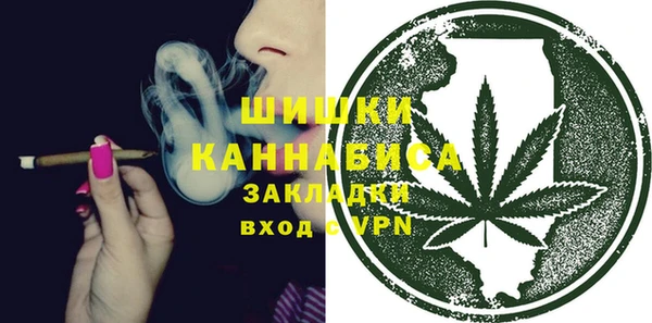 ГАЛЛЮЦИНОГЕННЫЕ ГРИБЫ Снежногорск