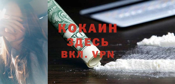 шишки Арсеньев