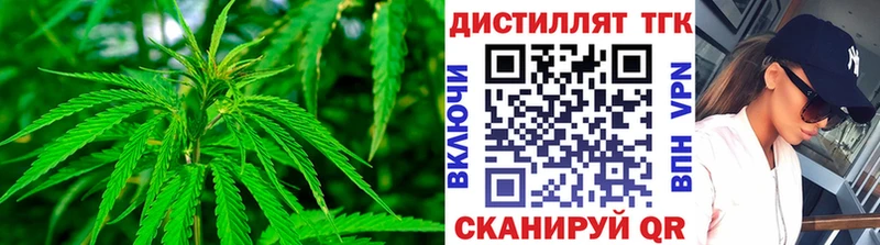 ТГК Wax  Бородино 