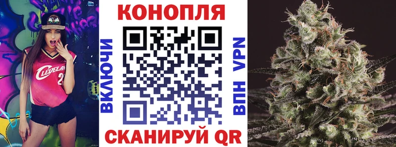 Бошки Шишки MAZAR  как найти закладки  Бородино 